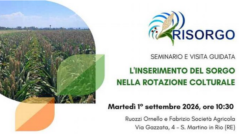 Immagine dell'evento L'inserimento del sorgo nella rotazione colturale – Giornata in campo del progetto RISORGO