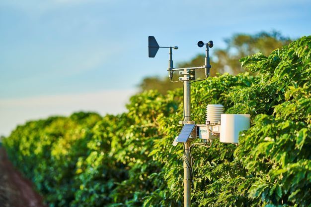 Immagine per Bollettino agrometeo